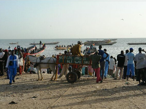 Sénégal - Mbour et le Kankourang