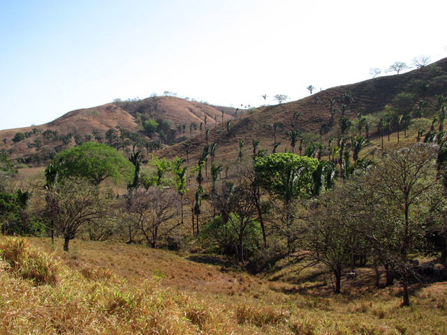 Costa Rica - la Péninsule de Nicoya