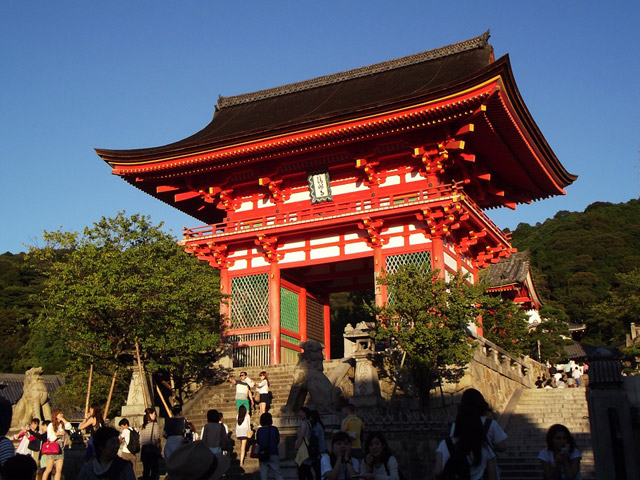 Japon - Des Cerisiers en Fleur et des Singes à Kyoto