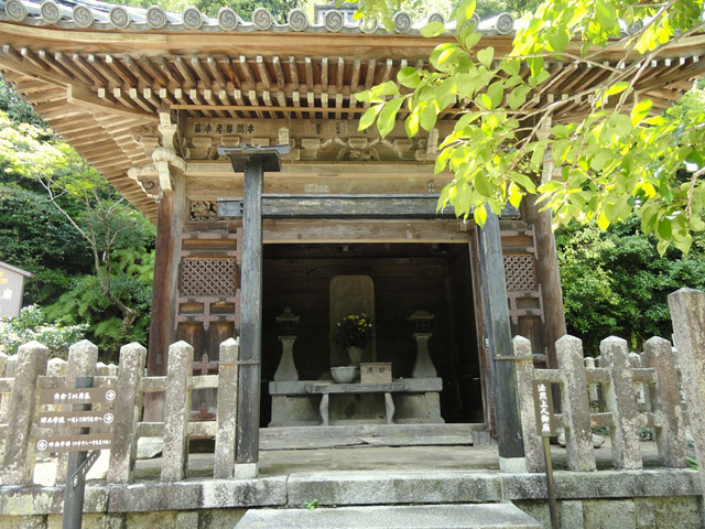 Japon - Des Cerisiers en Fleur et des Singes à Kyoto