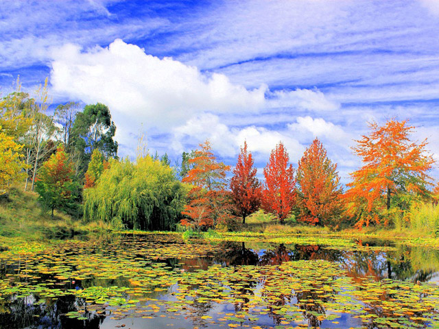 Nouvelle-Zélande - Parc National des Lacs Nelson